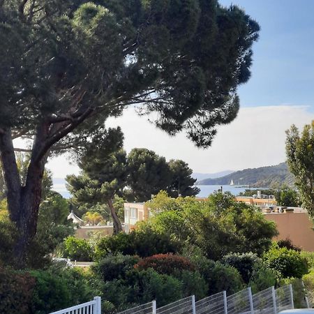 Studio Thalie Bormes-les-Mimosas Bagian luar foto